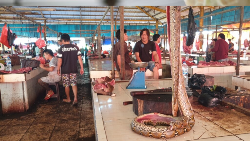 Berita VOA Indonesia : Pasar Hewan di Tomohon Setop Jual Daging Anjing dan Kucing