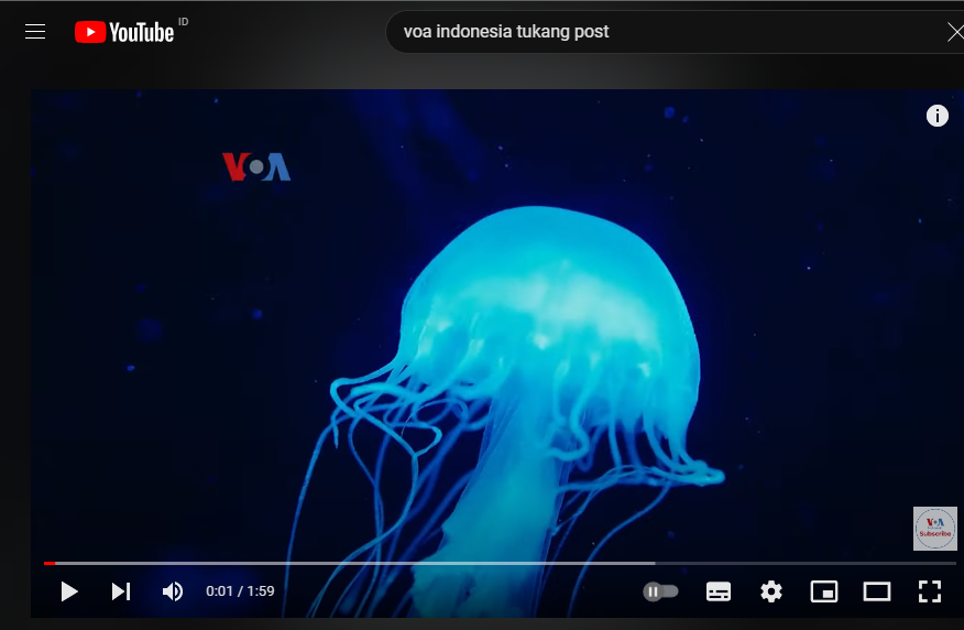 Robot Ubur-Ubur Untuk Pelajari Wilayah Lautan yang Belum Dijelajahi