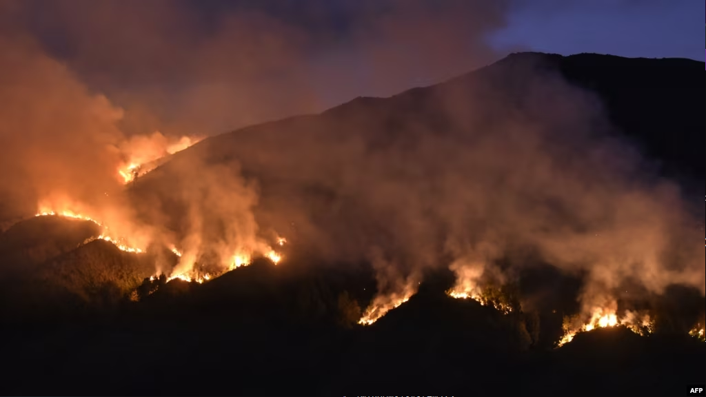 Kebakaran Hutan dan Lahan: Dampak El Nino yang Berbiaya Mahal