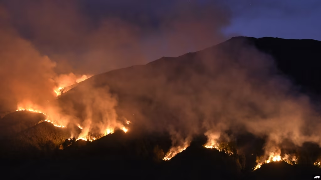 Kebakaran di Bromo Timbulkan Kerugian Rp89,7 Miliar Bagi Sektor Pariwisata