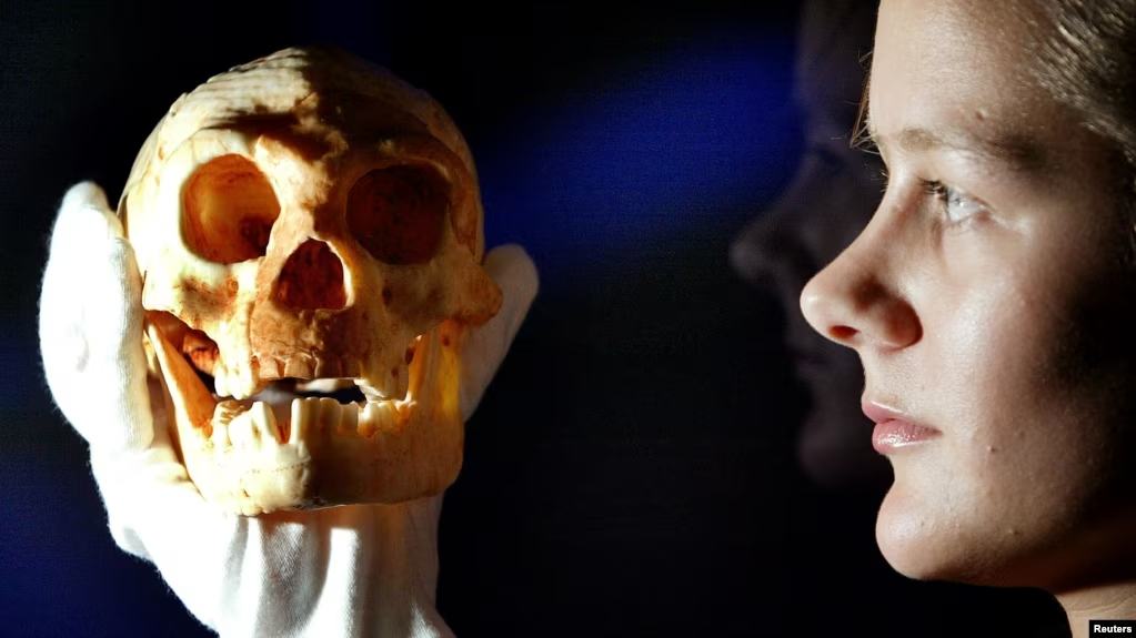 20 Tahun Temuan Fosil Manusia Purba Liang Bua, Penelitian Belum Tuntas