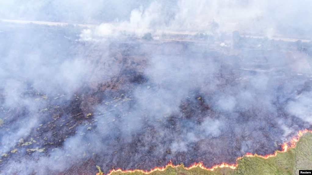 Indonesia Bantah Kabut Asap Akibat Kebakaran Hutan Sampai ke Malaysia