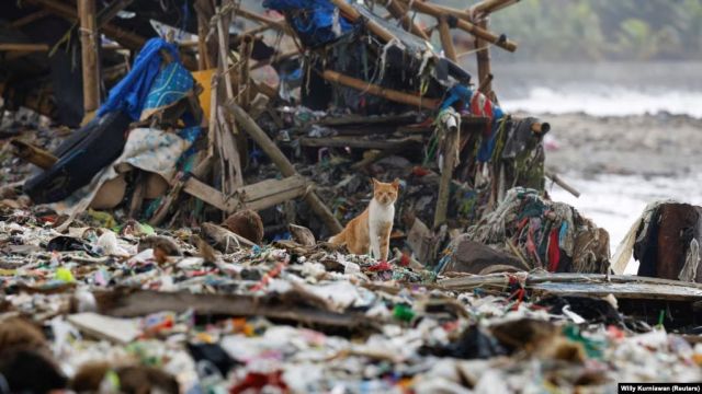 Pemukiman Nelayan di Banten Bergulat dengan Tumpukan Sampah yang Terbawa Air Pasang