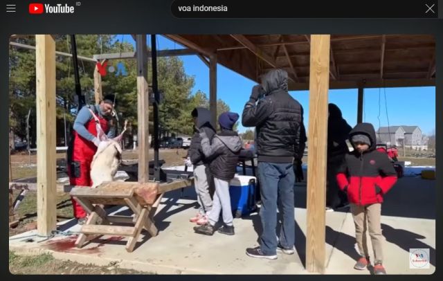 VOA Global Report: Idulfitri di AS dan Bisnis Live Shopping Busana Muslim Indonesia